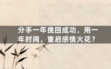 分手一年挽回成功，用一年时间，重启感情火花？