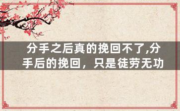 分手之后真的挽回不了,分手后的挽回，只是徒劳无功