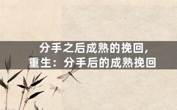 分手之后成熟的挽回,重生：分手后的成熟挽回