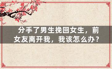 分手了男生挽回女生，前女友离开我，我该怎么办？
