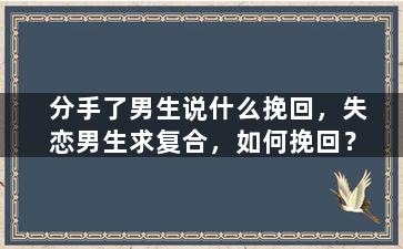 分手了男生说什么挽回，失恋男生求复合，如何挽回？