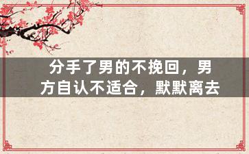 分手了男的不挽回，男方自认不适合，默默离去