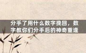 分手了用什么数字挽回，数字教你们分手后的神奇重逢