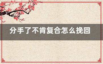分手了不肯复合怎么挽回（分手了不肯复合怎么挽回男朋友）