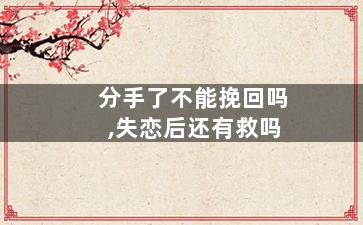 分手了不能挽回吗,失恋后还有救吗