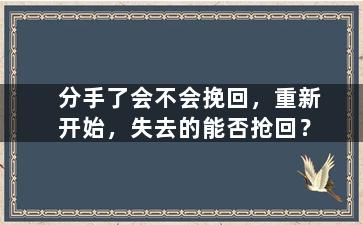 分手了会不会挽回，重新开始，失去的能否抢回？