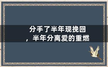 分手了半年现挽回，半年分离爱的重燃