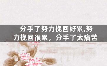 分手了努力挽回好累,努力挽回很累，分手了太痛苦