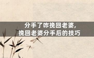 分手了咋挽回老婆,挽回老婆分手后的技巧