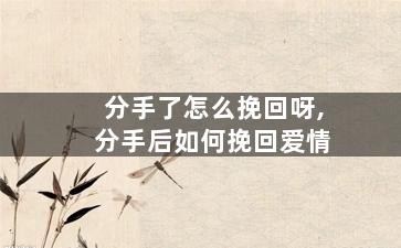 分手了怎么挽回呀,分手后如何挽回爱情