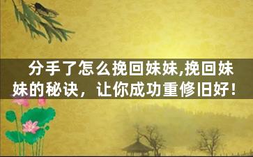 分手了怎么挽回妹妹,挽回妹妹的秘诀，让你成功重修旧好！