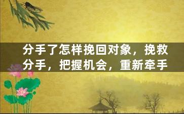 分手了怎样挽回对象，挽救分手，把握机会，重新牵手