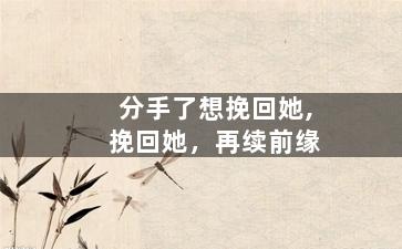 分手了想挽回她,挽回她，再续前缘