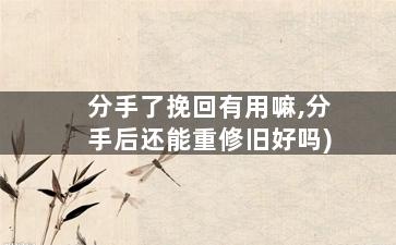 分手了挽回有用嘛,分手后还能重修旧好吗)