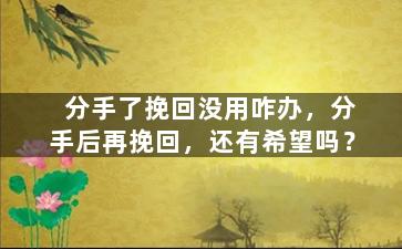 分手了挽回没用咋办，分手后再挽回，还有希望吗？