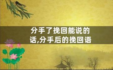 分手了挽回能说的话,分手后的挽回语