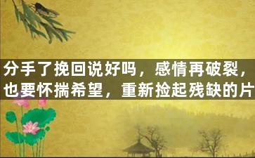 分手了挽回说好吗，感情再破裂，也要怀揣希望，重新捡起残缺的片段