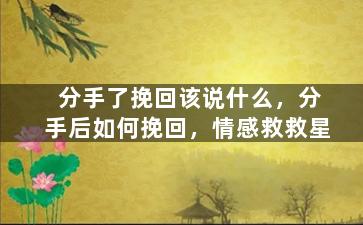 分手了挽回该说什么，分手后如何挽回，情感救救星