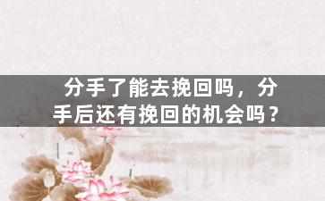 分手了能去挽回吗，分手后还有挽回的机会吗？