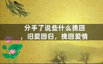 分手了说些什么挽回，旧爱回归，挽回爱情