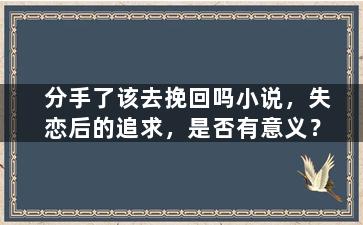 分手了该去挽回吗小说，失恋后的追求，是否有意义？