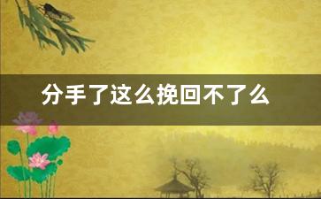 分手了这么挽回不了么