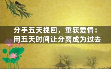 分手五天挽回，重获爱情：用五天时间让分离成为过去