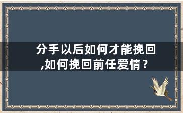 分手以后如何才能挽回,如何挽回前任爱情？