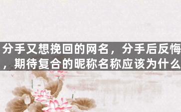分手又想挽回的网名，分手后反悔，期待复合的昵称名称应该为什么？
