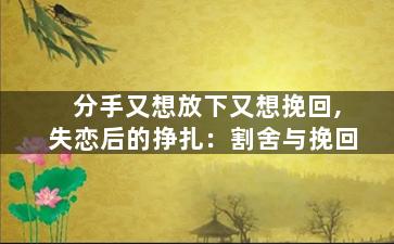 分手又想放下又想挽回,失恋后的挣扎：割舍与挽回