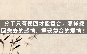 分手只有挽回才能复合，怎样挽回失去的感情，重获复合的爱情？