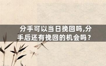 分手可以当日挽回吗,分手后还有挽回的机会吗？