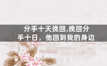 分手十天挽回,挽回分手十日，他回到我的身边