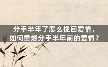 分手半年了怎么挽回爱情，如何重燃分手半年前的爱情？