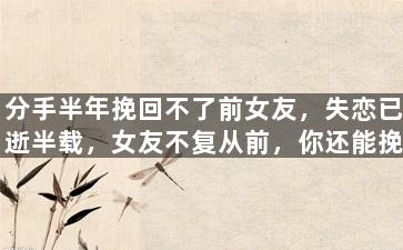 分手半年挽回不了前女友，失恋已逝半载，女友不复从前，你还能挽回吗？