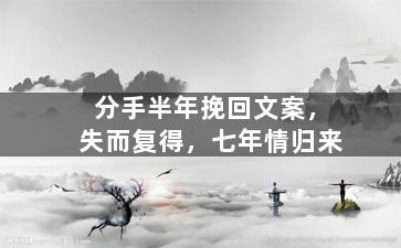 分手半年挽回文案，失而复得，七年情归来