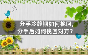 分手冷静期如何挽回,分手后如何挽回对方？