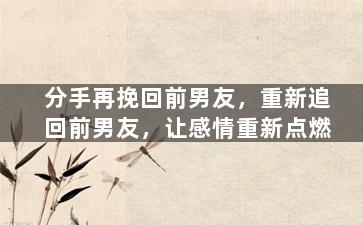 分手再挽回前男友，重新追回前男友，让感情重新点燃