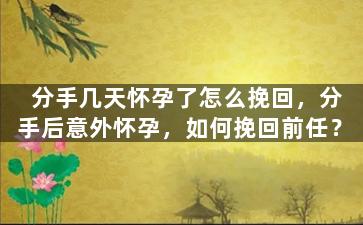 分手几天怀孕了怎么挽回，分手后意外怀孕，如何挽回前任？