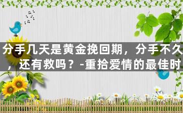 分手几天是黄金挽回期，分手不久，还有救吗？-重拾爱情的最佳时机