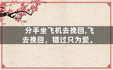 分手坐飞机去挽回,飞去挽回，错过只为爱。