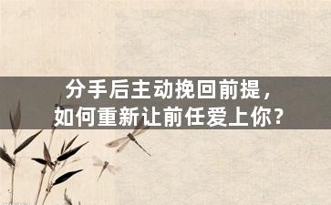 分手后主动挽回前提，如何重新让前任爱上你？