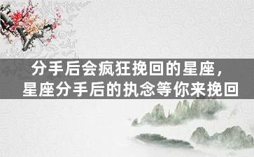 分手后会疯狂挽回的星座，星座分手后的执念等你来挽回