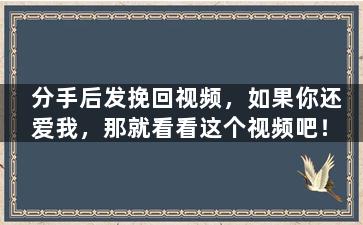 分手后发挽回视频，如果你还爱我，那就看看这个视频吧！