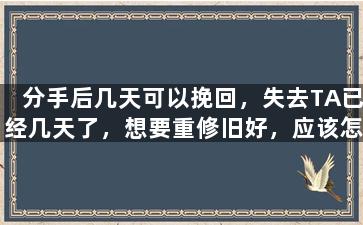 分手后几天可以挽回，失去TA已经几天了，想要重修旧好，应该怎么做？