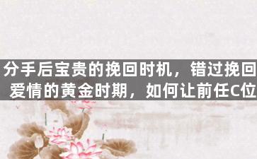 分手后宝贵的挽回时机，错过挽回爱情的黄金时期，如何让前任C位出道？