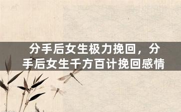 分手后女生极力挽回，分手后女生千方百计挽回感情