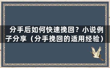 分手后如何快速挽回？小说例子分享（分手挽回的适用经验）