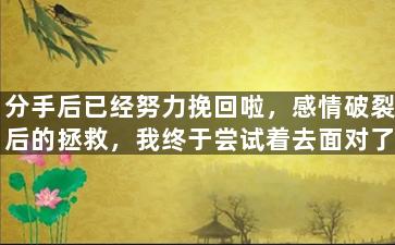 分手后已经努力挽回啦，感情破裂后的拯救，我终于尝试着去面对了