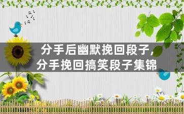 分手后幽默挽回段子,分手挽回搞笑段子集锦